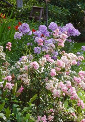 Domestic Gardens