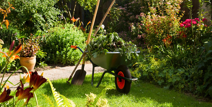 Horticulture Suffolk