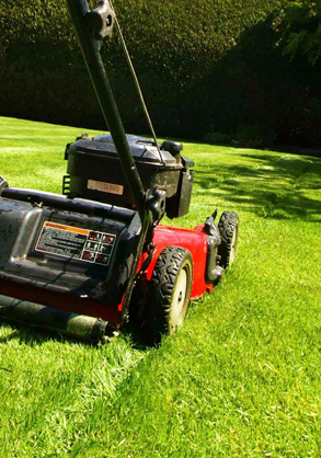 Lawn Treatments